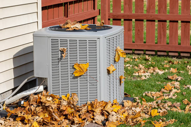 Best Furnace Cleaning in Willow Grove, TX